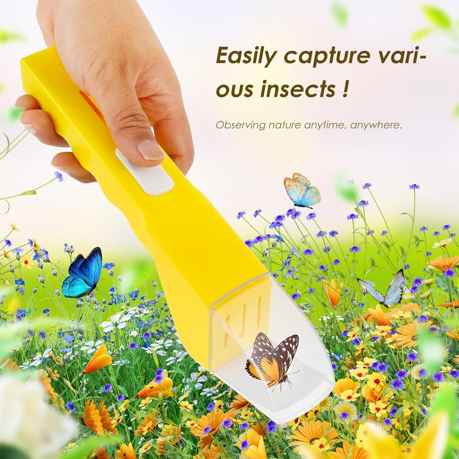 Handheld Insect Catcher