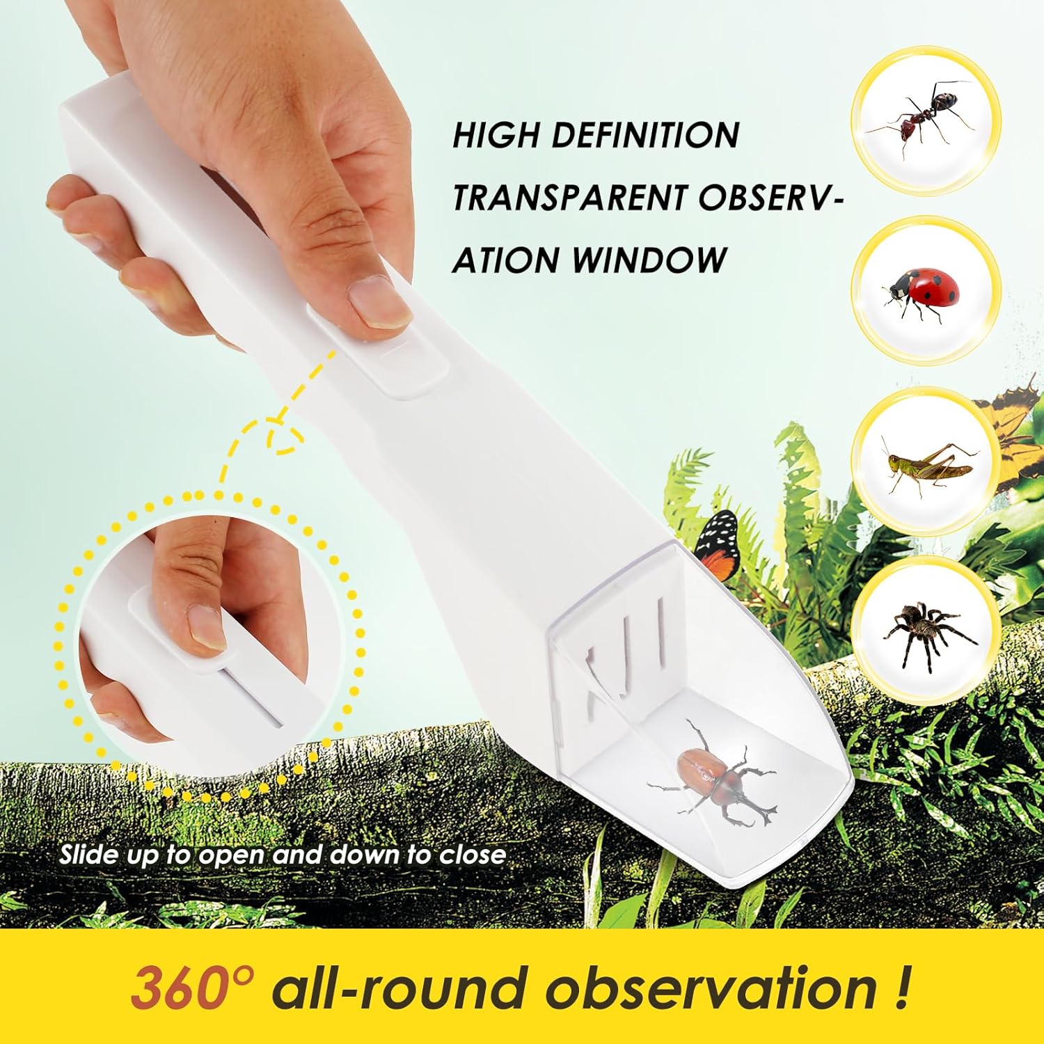 Handheld Insect Catcher