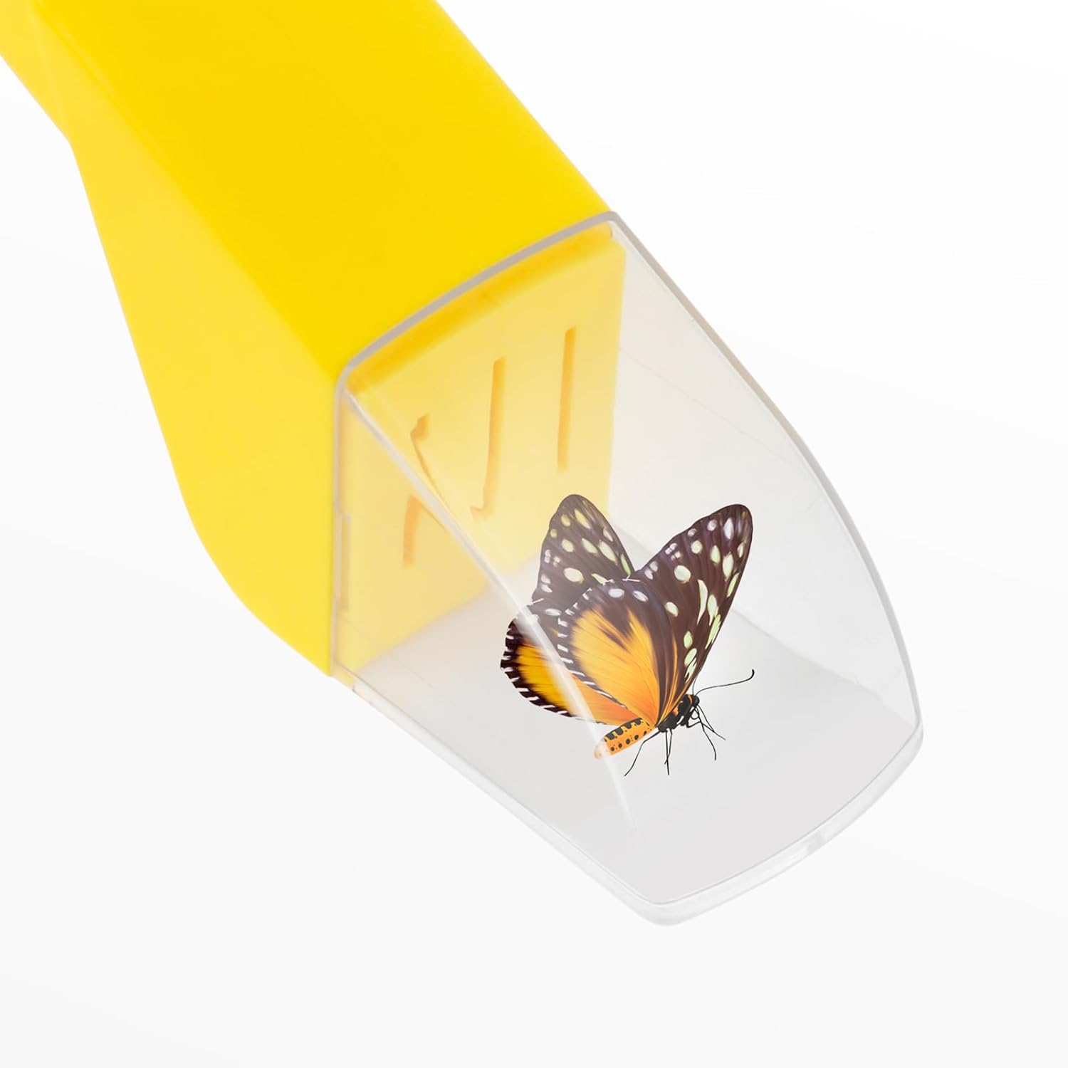 Handheld Insect Catcher